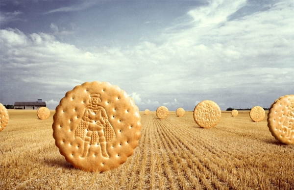 Photograph Chris Frazer Smith Field Of Cookies on One Eyeland